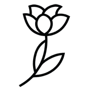 Clare Florist UK